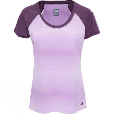 Top The North Face Manga Corta Adventuress Mujer Moradas - Chile AHI365174